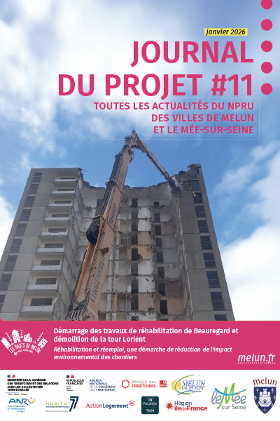 Journal du Projet n°11 - Janvier 2026