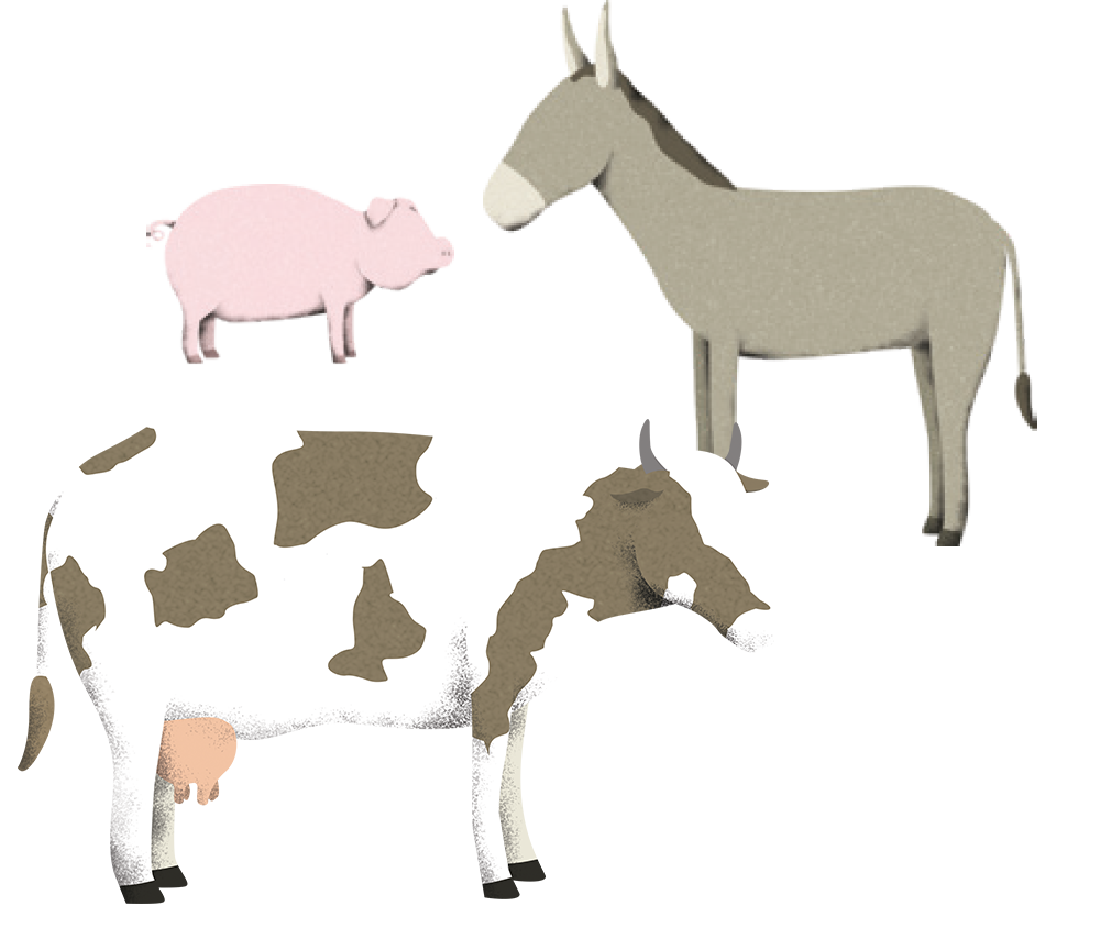Animaux de ferme