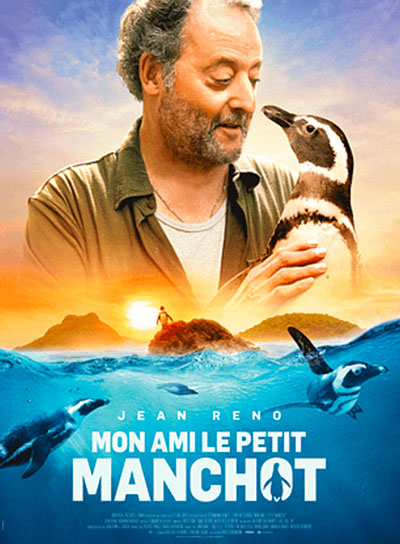 Mon ami le petit manchot