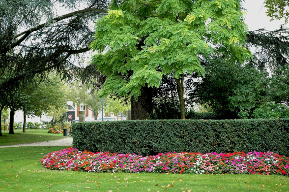 jardin botanique