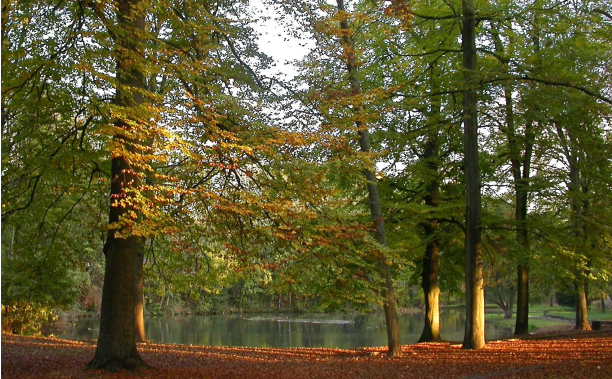 parc debreuil