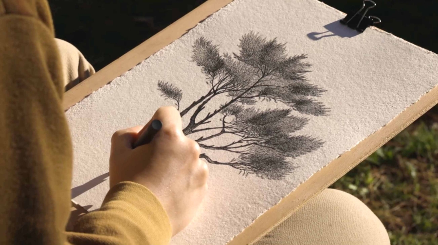 photo-in-situ-paysage-ld